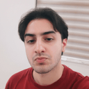 sepehrmirmousavi