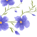 Aftabsun