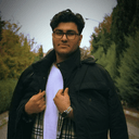Mehdimirshadi