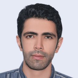 Hamidprogrammer