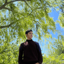 Amir01247