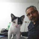 amirtoloui