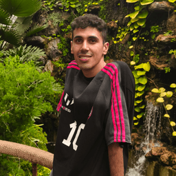 Alireza8627