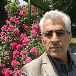 Farzinrazavi