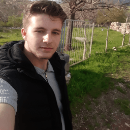 amyar88