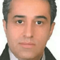 mehdilotfian