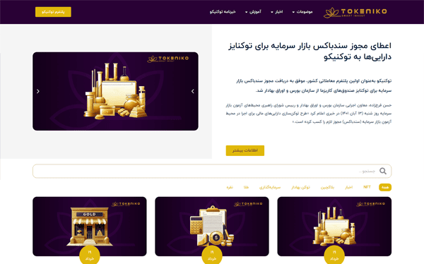 طراحی وبلاگ سایت توکنیکو