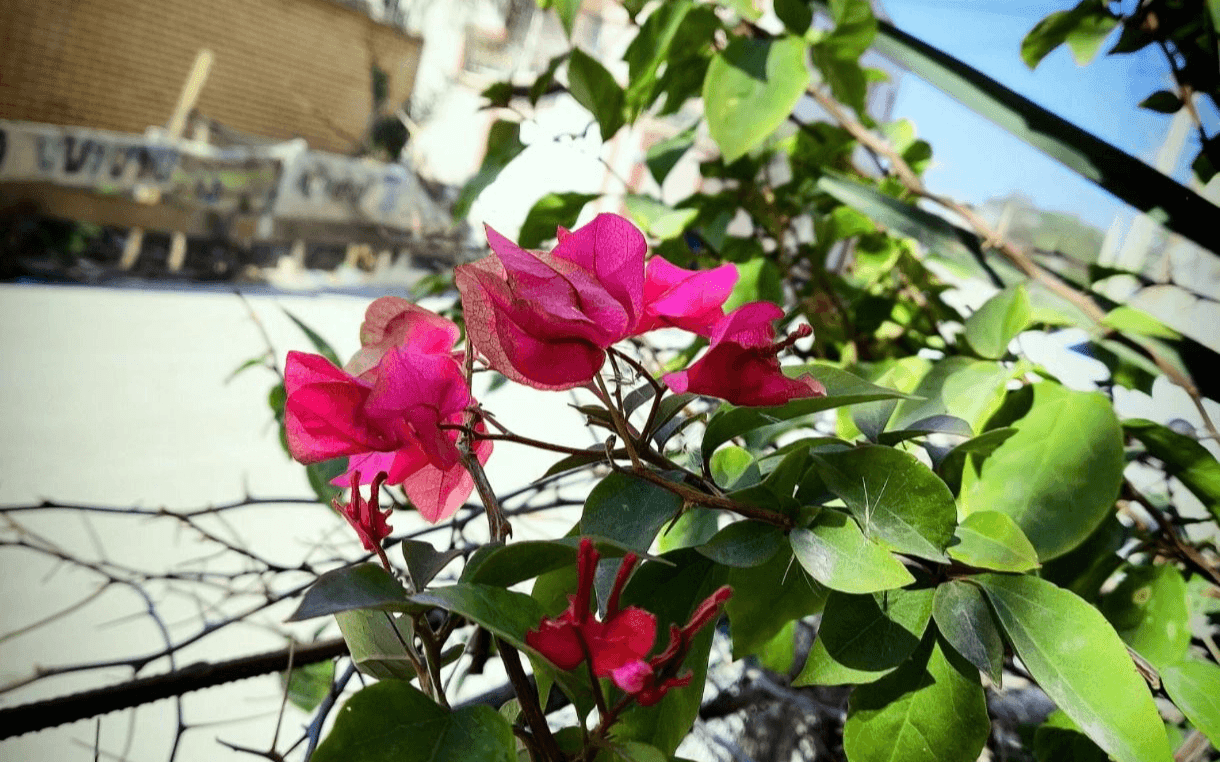 ادیت عکس