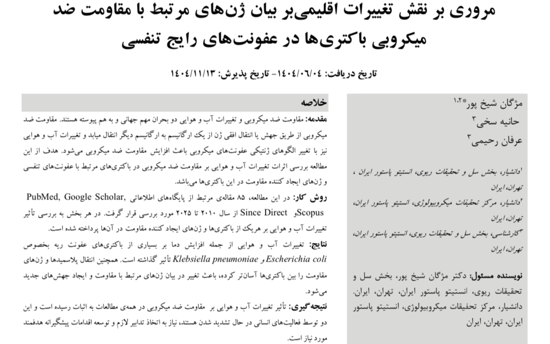 مقاله نویسی