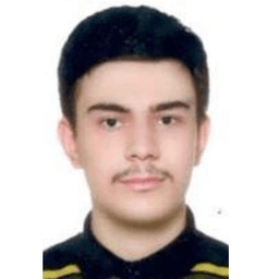 haghighi9