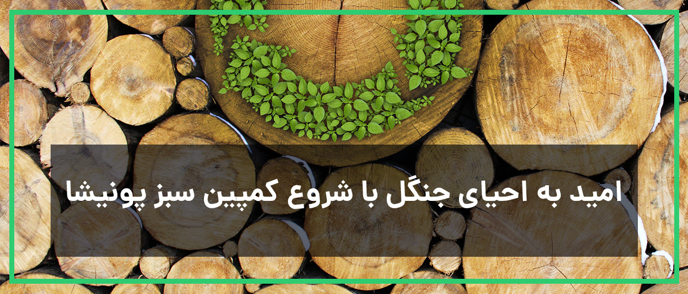 کاشت ۱۰۰ نهال؛ در اولین گردهمایی سبز پونیشا