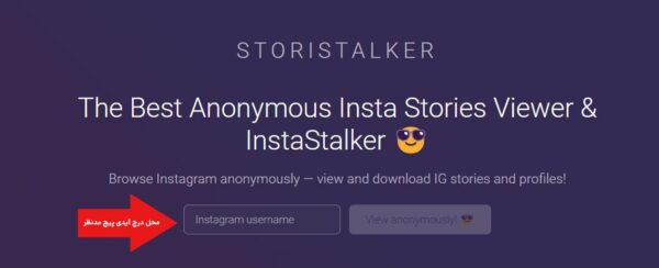 تصویر از سایت storistalker که محل درج آیدی را نشان می‌دهد