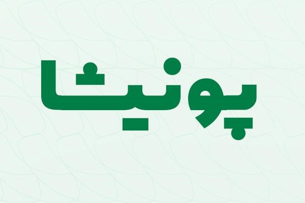 لوگوتایپ کلمه پونیشا با فونت سینما