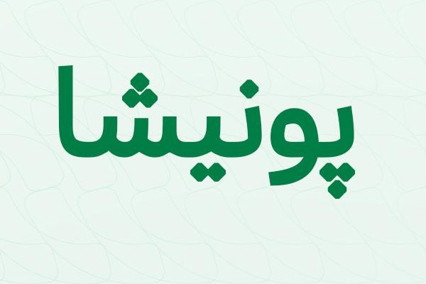 alt لوگوتایپ کلمه پونیشا با فونت ایرانسل 