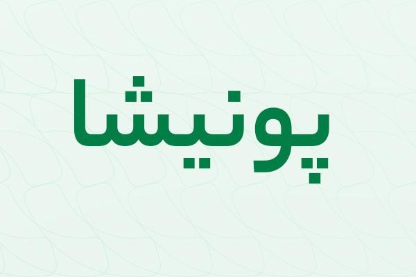 لوگوتایپ کلمه پونیشا با فونت یکان بخ